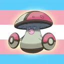 Torneig POKÉSLAY