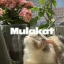 Mulakat™  | Hangout • Dating • Active • Chill • Pfp • Banners • Gwy icon