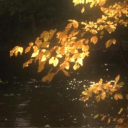 Eternity's rp!! Discord server icon