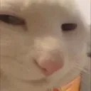 Skibidi Discord server icon