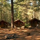 ♤ ▪ CAMP DIREWOLF {ROLEPLAY}