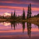 ✿✧Therapy Haven✧✿