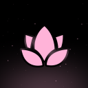 🌷 NodeBot // In Development avatar