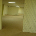 Level 0