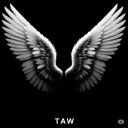 wicked's clan server/chatting server