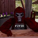 PYFIR`S  DOMAIN