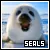 WHITESPOTTEDSEAL THE GAME server