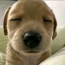 ୨ৎ!! ᔕIᒪᒪY ᔕᒪIᗰEᖇᔕ !!୨ৎ Discord server icon