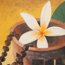 ᴘʟᴀꜱᴛɪᴄ ᴘᴏʟʏɴᴇꜱɪᴀɴꜱ🌺🥥