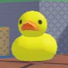 THE DUCK POND