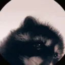 Kattan Chaya Discord server icon