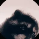 Kattan Chaya Discord server icon