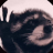 Kattan Chaya Discord server icon