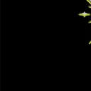 aaaa
