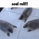 ROLİNGUUUUU