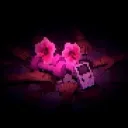 🌺     ⟣    M O U T H W A S H I N G      𓉸     .gg/curly’s                      #NAZIENDO
