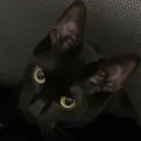 °»｡ ∾Binx ∾ ｡«°