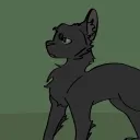 °»｡ ∾Binx Cult∾ ｡«°