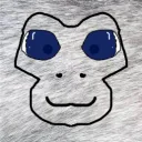 FNT VR