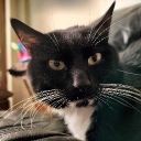 ᡶꫝꫀ ꫝꪮꪊకꫀ ꪮᠻ ᡶꫝꫀ ᠻꪹꫀꪖƙక Discord server icon