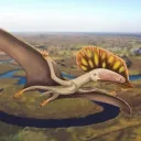 Pterodactyl District (Roblox)