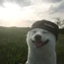 aaaaa