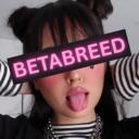 BetaBreed Discord Server Icon