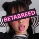 BetaBreed discord icon