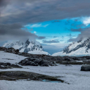 Penguintown Discord server icon