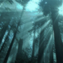The Onyx Forest Discord server icon