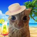 🌸🐚 Seasonal server !! 🍂⛄