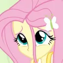 The Mirror - Equestria Girls Hangout