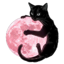 ❦𝑷𝒊𝒏𝒌 𝒎𝒐𝒐𝒏 𝒄𝒂𝒇è❦ Discord server icon