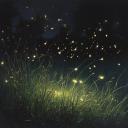 The Firefly Den