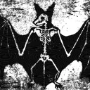 𓃠丨BATCAVE 丨🦇