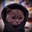 Grippy Socks Grove Discord server icon