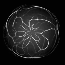 Statics records 🪄 Discord server icon