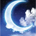 🌙달밤채팅