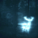 Starfall ˊˎ-