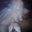 Starfall ˊˎ- Discord server icon