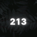 213