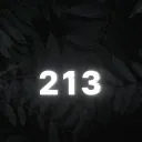213