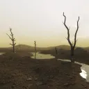 Desolate Paths || 16+ Multiverse RP Server