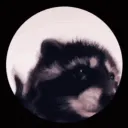 Le serveur de Pedro