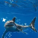 🦈𝐓𝐡𝐞 𝐒𝐢𝐫𝐞𝐧’𝐬 𝐉𝐚𝐰𝐬