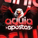 ÁGUIA ESPORTS - RANKING 100$