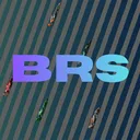 Bollard racing series