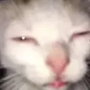 notsome0n3else’s streaming server