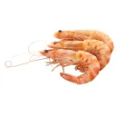 da shrimp station