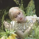 ✦ ﹒ VEYRA ent ﹕ 🐛